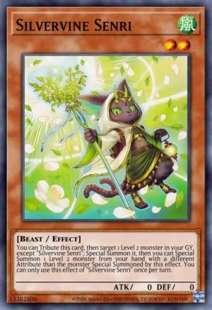 Silvervine Senri - (Battle of Chaos) - (BACH-EN031) - (Common)