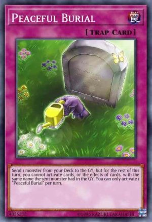 Peaceful Burial - (Chaos Impact) - (CHIM-EN077) - (Super Rare)