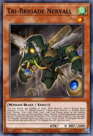 Tri-Brigade Nervall - (Phantom Rage) - (PHRA-EN006) - (Common)