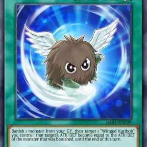 Berserker Crush - (Hidden Arsenal Chapter 1) - (HAC1-EN169) - (DT Normal Rare)