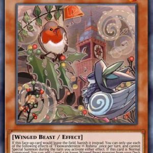 Floowandereeze & Robina - (Burst of Destiny) - (BODE-EN013) - (Super Rare)