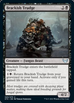 Brackish Trudge - Strixhaven: School of Mages-(065)