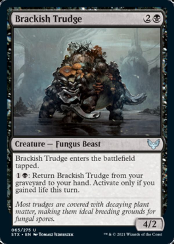 Brackish Trudge - Strixhaven: School of Mages-(065)