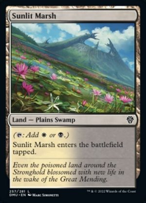 Sunlit Marsh - Dominaria United-(257)