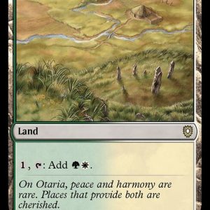 Sungrass Prairie - Bloomburrow Commander-(334)