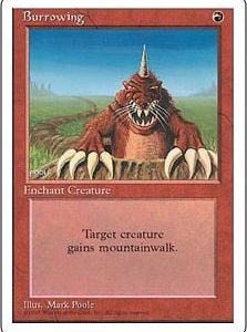 Burrowing - Fourth Edition-(198)
