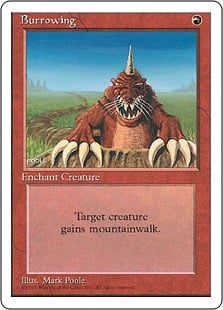 Burrowing - Fourth Edition-(198)