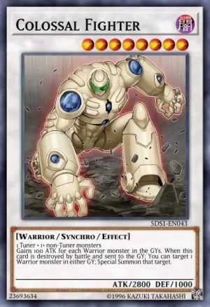 Colossal Fighter - (Premium Gold) - (PGLD-EN043) - (Gold Rare)