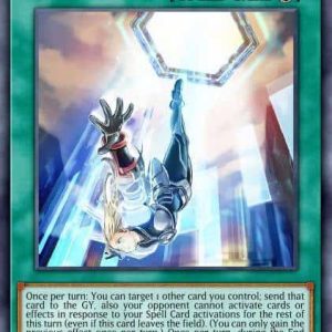 Sky Striker Mecha Modules - Multirole - (Dark Saviors) - (DASA-EN038) - (Secret Rare)