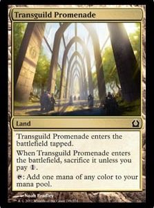 Transguild Promenade - Return to Ravnica-(249)