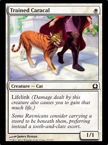 Trained Caracal - Return to Ravnica-(027)