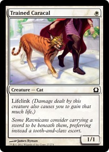 Trained Caracal - Return to Ravnica-(027)