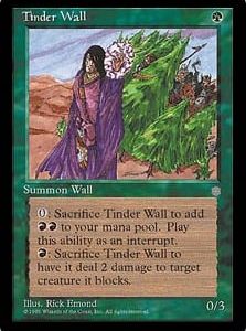 Tinder Wall - Ice Age-(158)