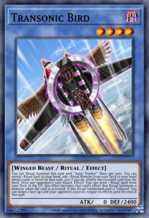 Transonic Bird - (Burst of Destiny) - (BODE-EN037) - (Common)