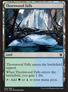 Thornwood Falls - Khans of Tarkir-(244)