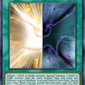 Duality - (Battles of Legend: Monstrous Revenge) - (BLMR-EN036) - (Secret Rare)