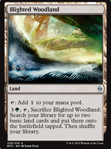 Blighted Woodland - Battle for Zendikar-(233)