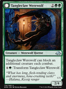 Tangleclaw Werewolf // Fibrous Entangler - Eldritch Moon-(174)