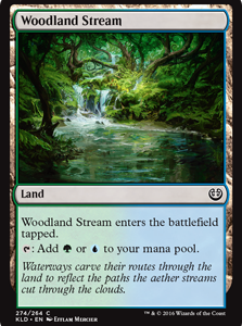 Woodland Stream - Kaladesh-(274)