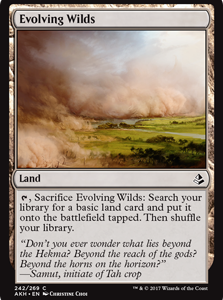 Evolving Wilds - Amonkhet-(242)