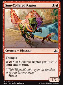 Sun-Collared Raptor - Rivals of Ixalan-(118)