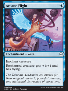Arcane Flight - Dominaria-(043)