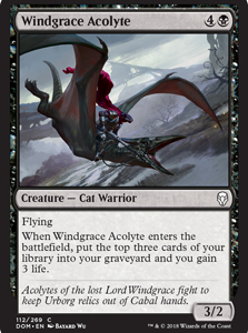 Windgrace Acolyte - Dominaria-(112)