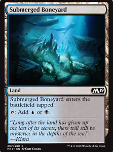 Submerged Boneyard - Core Set 2019-(257)