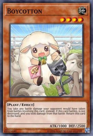 Boycotton - (2019 Gold Sarcophagus Tin Mega Pack) - (MP19-EN018) - (Common)