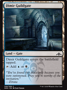 Dimir Guildgate - Guilds of Ravnica-(246)