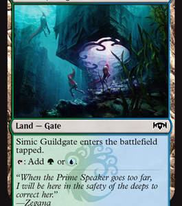 Simic Guildgate - Ravnica Allegiance-(258)
