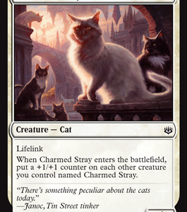 Charmed Stray - War of the Spark-(008)