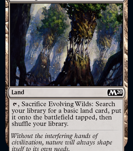 Evolving Wilds - Core Set 2020-(246)