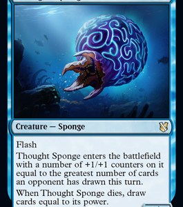 Thought Sponge - Commander 2019-(012)