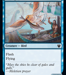 Vexing Gull - Theros Beyond Death-(079)