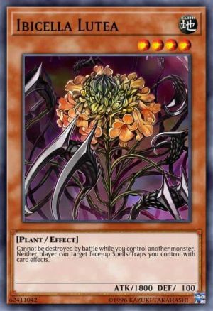 Ibicella Lutea - (2021 Tin of Ancient Battles) - (MP21-EN009) - (Common)