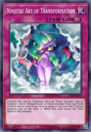 Ninjitsu Art of Transformation - (Shadows in Valhalla) - (SHVA-EN028) - (Super Rare)