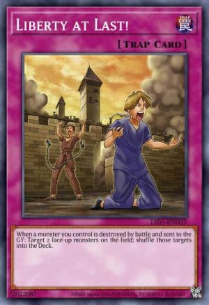 Liberty at Last! - (Legendary Duelists Synchro Storm) - (LED8-EN034) - (Common)