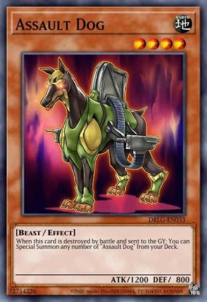 Assault Dog - (Dragons of Legend) - (DRLG-EN033) - (Super Rare)