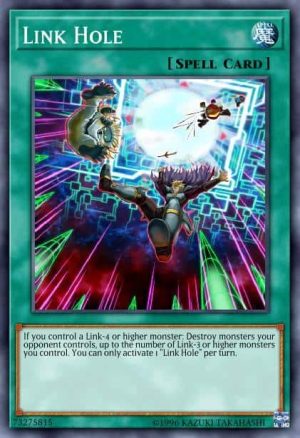 Link Hole - (2018 Mega-Tin Mega Pack) - (MP18-EN203) - (Common)