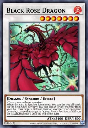Black Rose Dragon - (Alt art) - (Legendary Duelists: Sisters of the Rose) - (LED4-EN028)