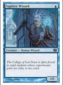 Fugitive Wizard - Ninth Edition-(080)