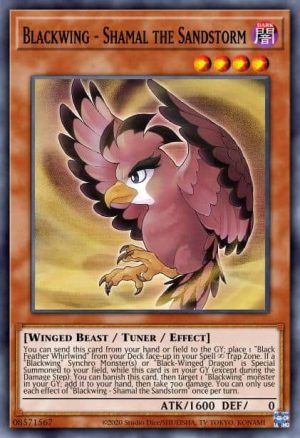 Blackwing - Shamal the Sandstorm - (Darkwing Blast) - (DABL-EN002) - (Super Rare)