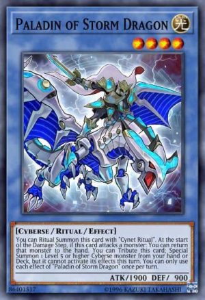 Paladin of Storm Dragon - (Cybernetic Horizon) - (CYHO-EN031) - (Rare)