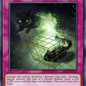 Quantum Cat - (Structure Cyberse Link) - (SDCL-EN037) - (Common)