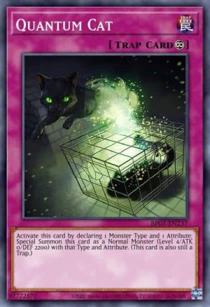 Quantum Cat - (Structure Cyberse Link) - (SDCL-EN037) - (Common)