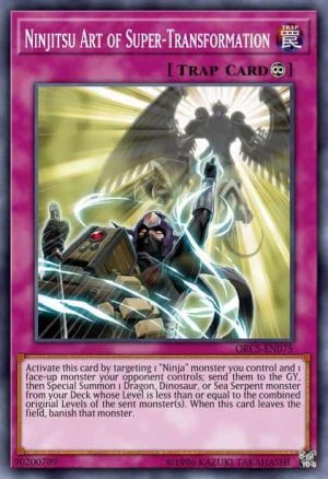 Ninjitsu Art of Super-Transformation - (Shadows in Valhalla) - (SHVA-EN029) - (Super Rare)
