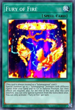 Fury of Fire - (Rising Rampage) - (RIRA-EN054) - (Common)