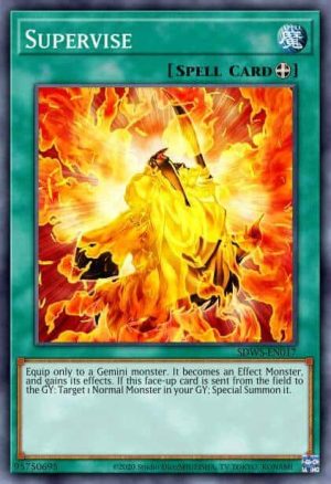 Supervise - (Toon Chaos) - (TOCH-EN055) - (Rare)