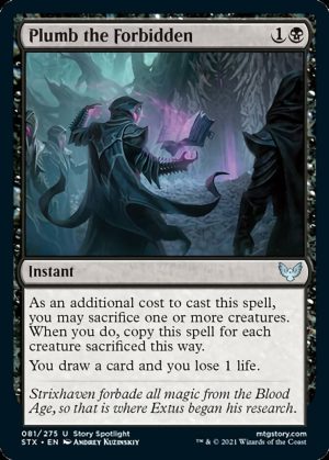 Plumb the Forbidden - Strixhaven: School of Mages-(081)-Foil